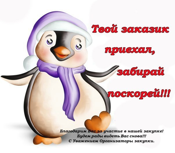 ������� 25.10. ��� + ����� Kemei + ��������