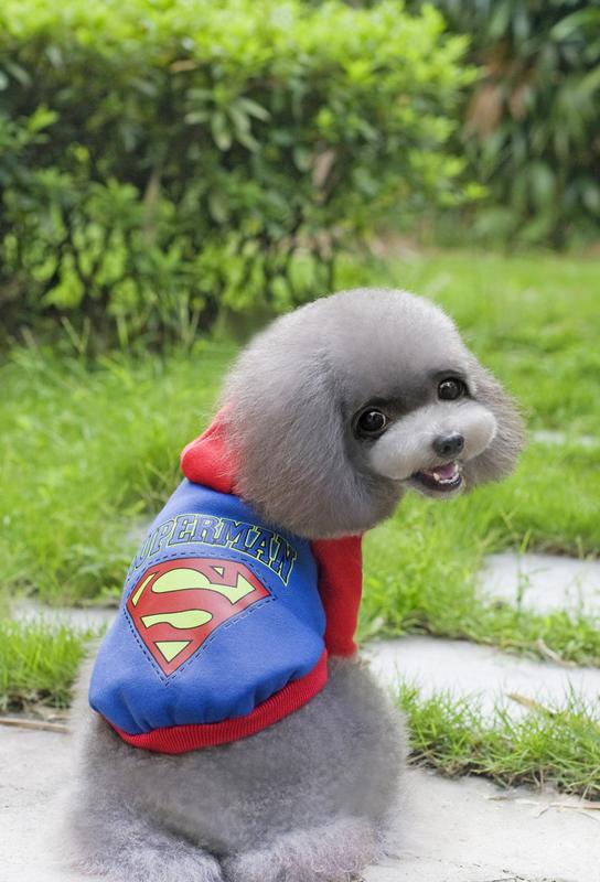 ������ ��� �����, ������� ��������