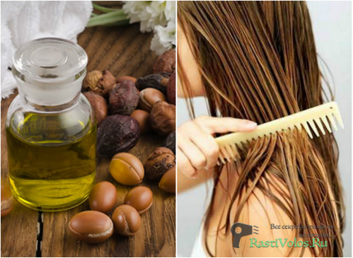 ���������� � ������ ���������� ����� ��� �����