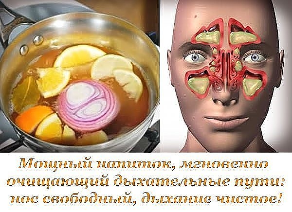 ������ �������, ��������� ��������� ����������� ����: ��� ���������, ������� ������