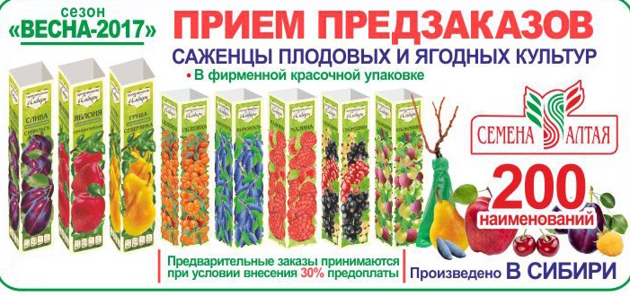 �������-������� �� ������ (�����). ��������� �� ����� 2017!