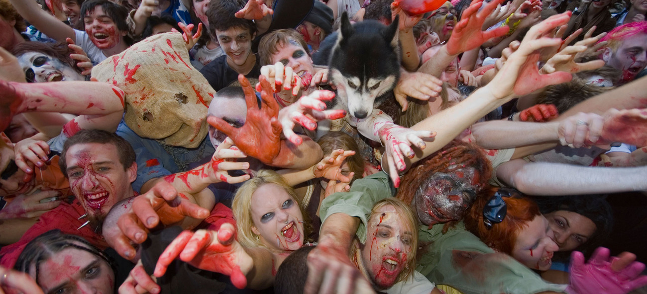 ��ӣ��� ���������