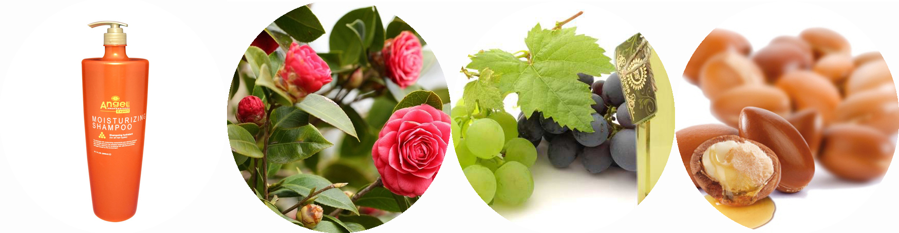 ���� �������. ����������� ��������� ��� ����� Angel Professional. ������ ����� �� ������� � ������� ������, ��� � ���������? ���� ����� �� ������� (4)