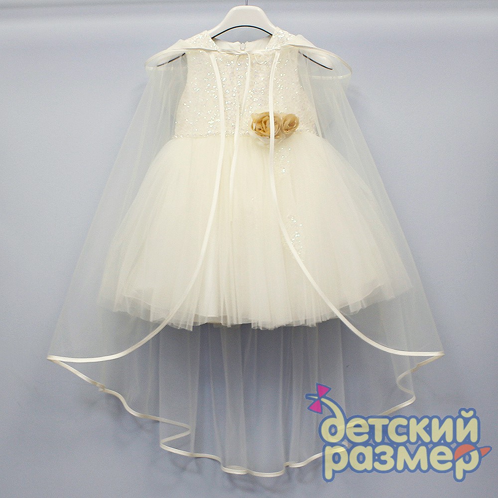 ���� �������. �������� ������ � �������.��������� � ���������� ����������.