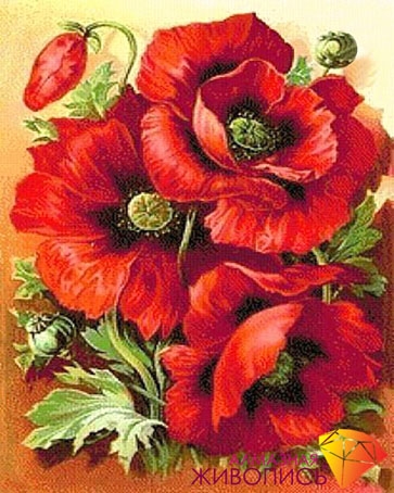 �������� ��������, ������� ��������. ������� ������, ��������, ���������, �����, ������ ��� �����. ������ ����� ������������� � ������� ��� ������