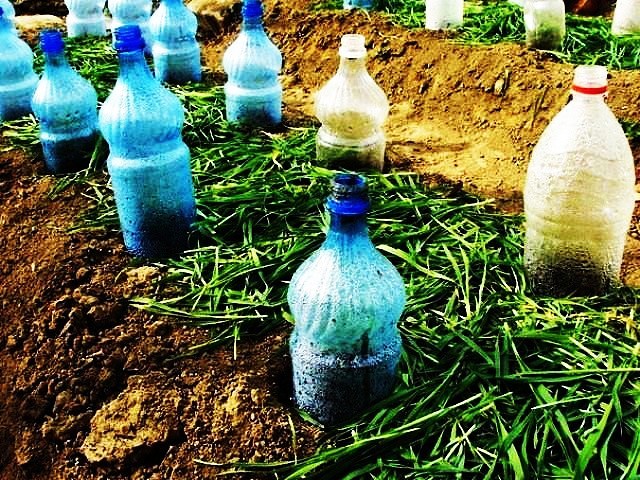 ��� ������� ������� (���� ������� ���������