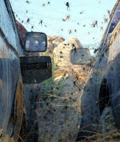 ����� ���������� � ���������