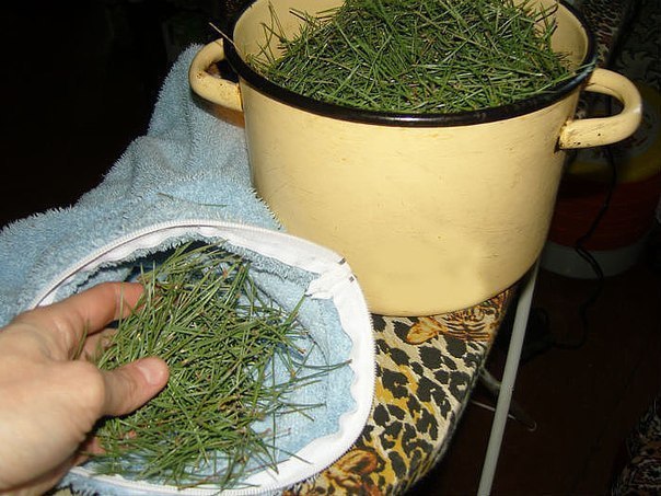 ������� ������ ������ �������� �� ����� ���.