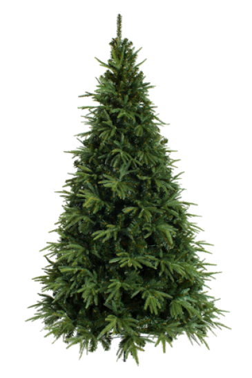 ��� ��� ����� � ���� �����! ��������� ���������� ���� �� ����������� �������������. ������� ��������� ������� � ������������ ����, �������, �������. �� ����� ���� � �������.