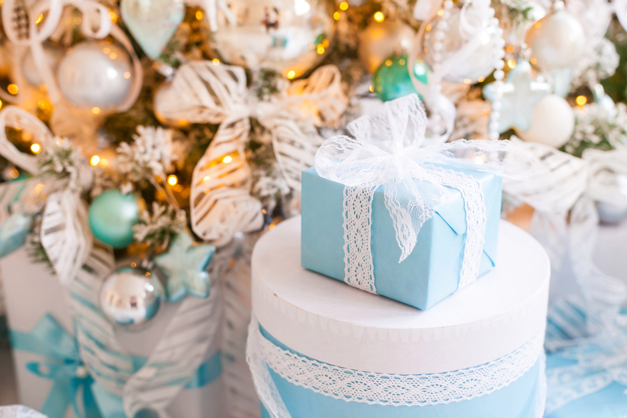 ���������� ���������� 2016-2017