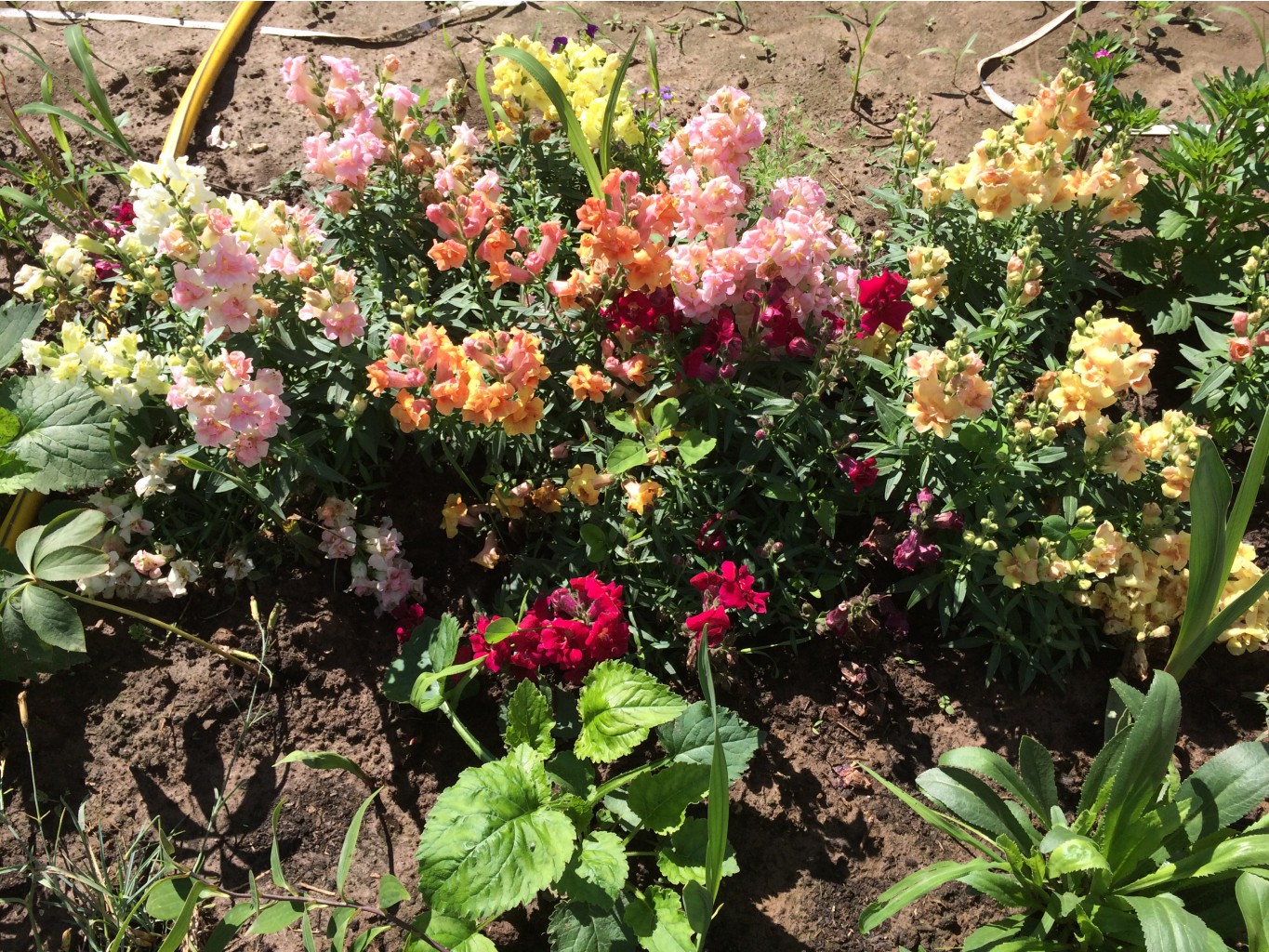 ���� �������. ���������������� ������ ��������. ������� � ������ ���������. ����� 3.