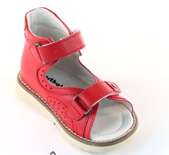 ���� �������. �������������� ����� ��������� ������ O rtotian. ��� �����. ������ ����������� ���������. ����� ��������