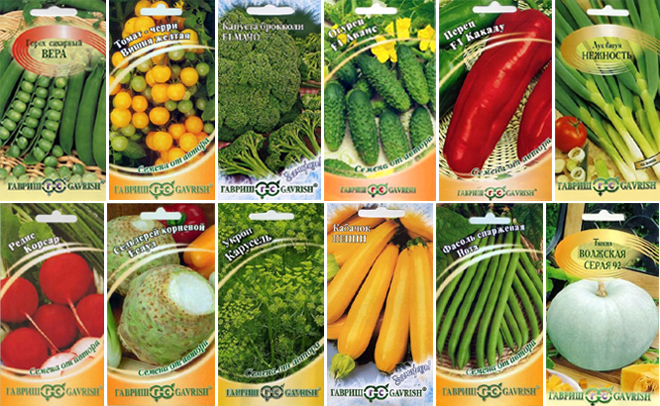 ������ ������, ������ � ������ ����! ���������� � ���������� ��������-���������� ��������� � ����������� ������ �������!