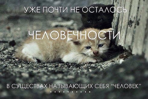 ����� ���� ���� ������ �� ������� �������... �� ��� � ����