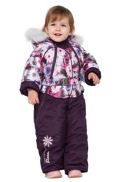 ���� �������. ���������� ������� ������ �� �������������� ������������� ����� ����- ��������, ������������, �������