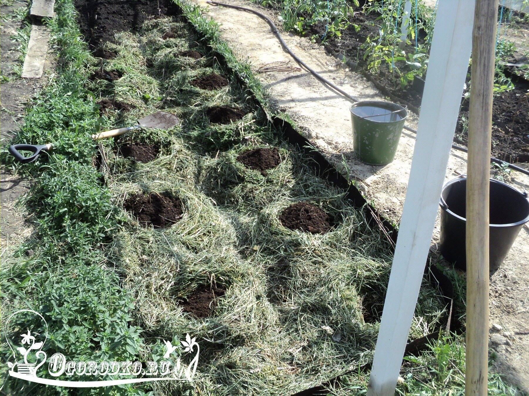 ������������ ���������: �����, �������, �������� � ������