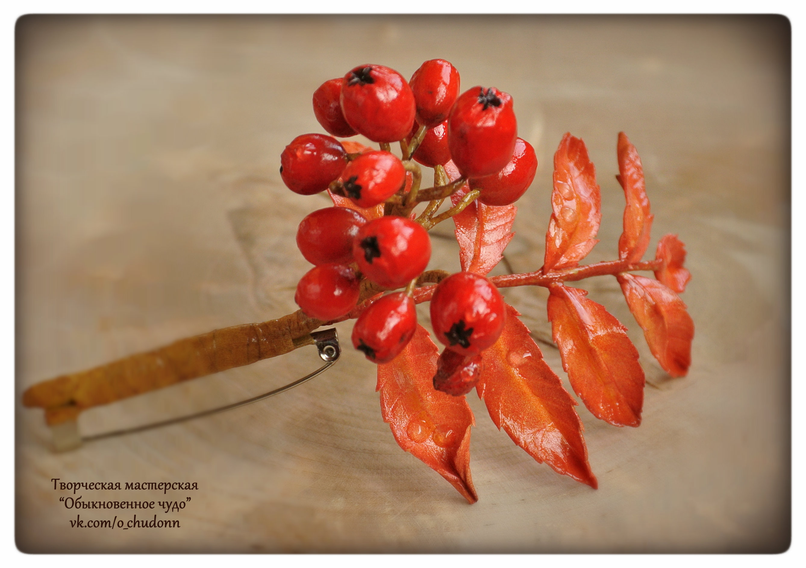 1 ����� �� ������-����� �� �����-������� �� ������� 20%!