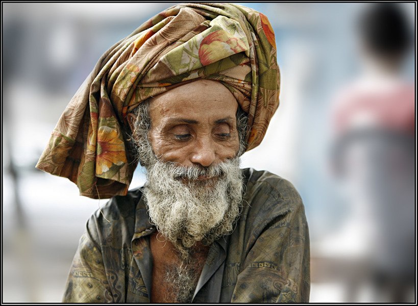 ���� ���������