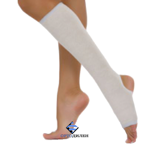 ���� �������. ���������� ��������. ����� ��������������. ���� �������, � ������ �������. ����������� ����� � �����. �������, �������, ������������ �����������, �������. ���������, �����������. ����������. ���������� ���������. ������