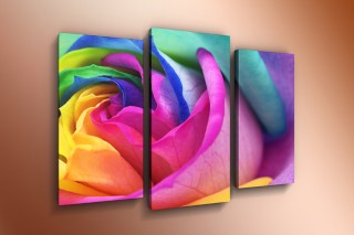 ���� �������. �� ����� ��������! ���������-7!! ������� �� ������ �� 140���, 3-� ��������� �� 450���, 4-� � 5-�� ��������� �� 650���, ���� �� ������ �� 200���. ������� ����� ����� 1000 ����!!! �� �������������.