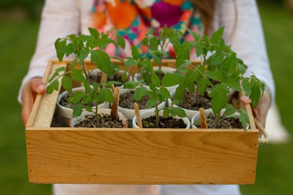 ��� ��������! �ӣ ��� ������� � �������� ��������! �ӣ ��� �������. ���������, ����. ��������, ��������� �����, ������, ��������� �������, �����, ����� � ��. ��� ��! ����� 45.