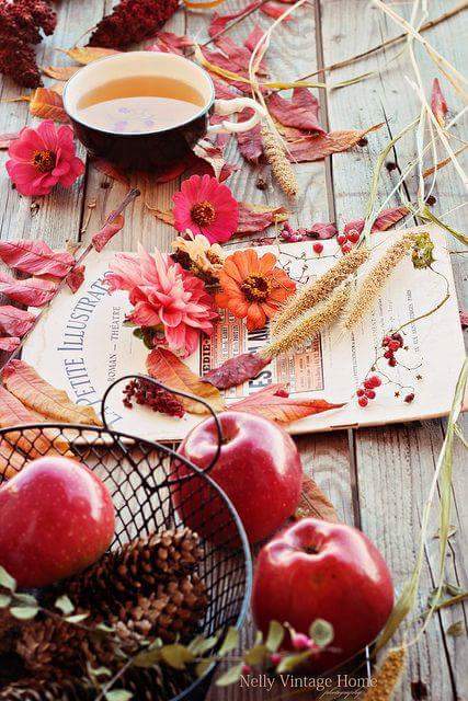 ������ ����!