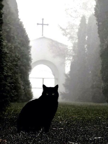 ������� ����