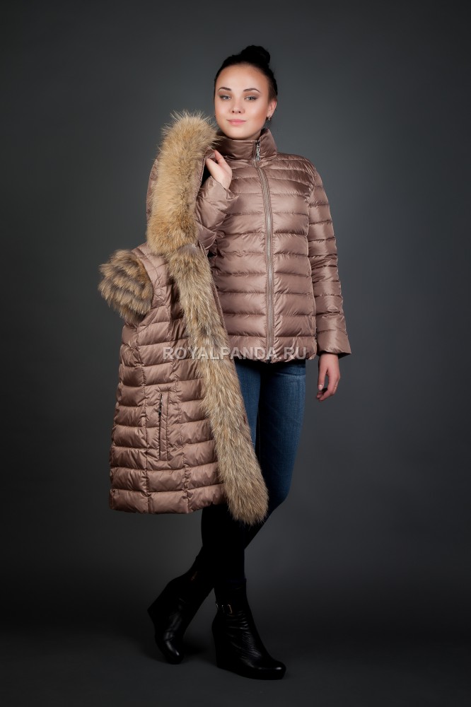 ���� �������. ��������� ���� �� ��������� �����. ������, ������, ����� + ����. ������������� ������. ���� ���� �����