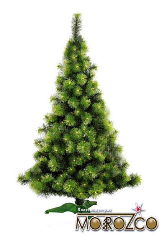 ���� �������. �����, ����� � ��� ������, ������������ ����� ���! ������, ��������, ������. ������������ �������.