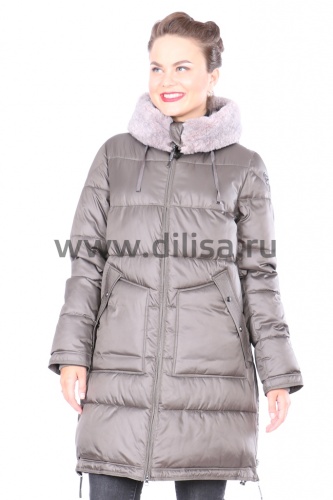 ���� �������. ������� ������� ������ - ������, ��������, ��������-8. ���� ����������.