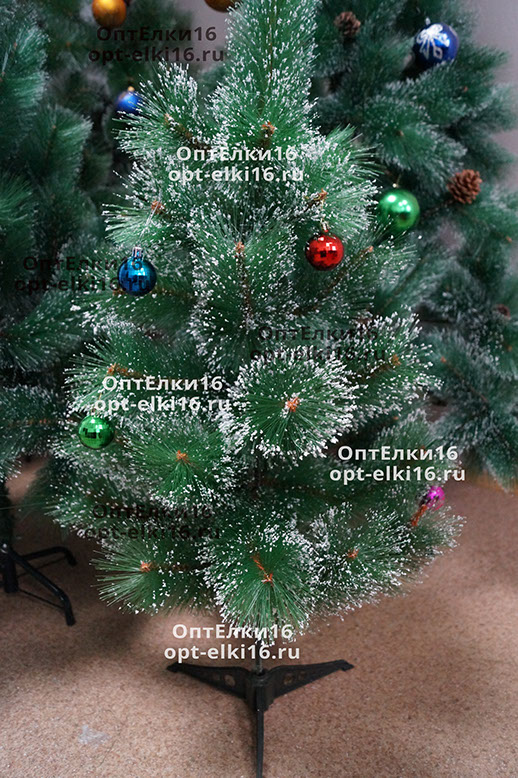 ���������� ���� �� ��������� �����!