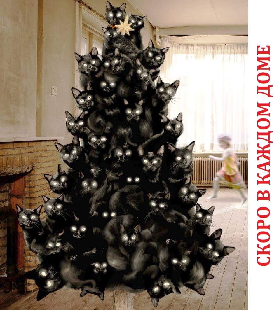 ��������� � ������ ����?