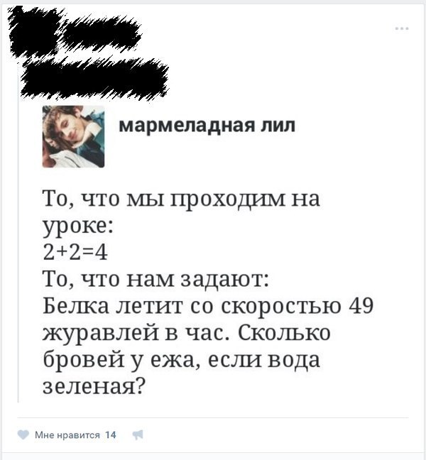 ������ ����