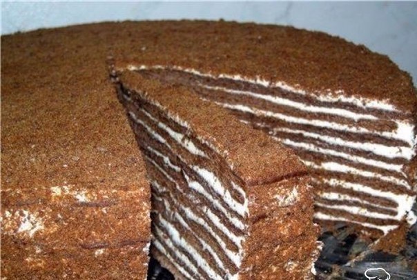 ���� "�������" 