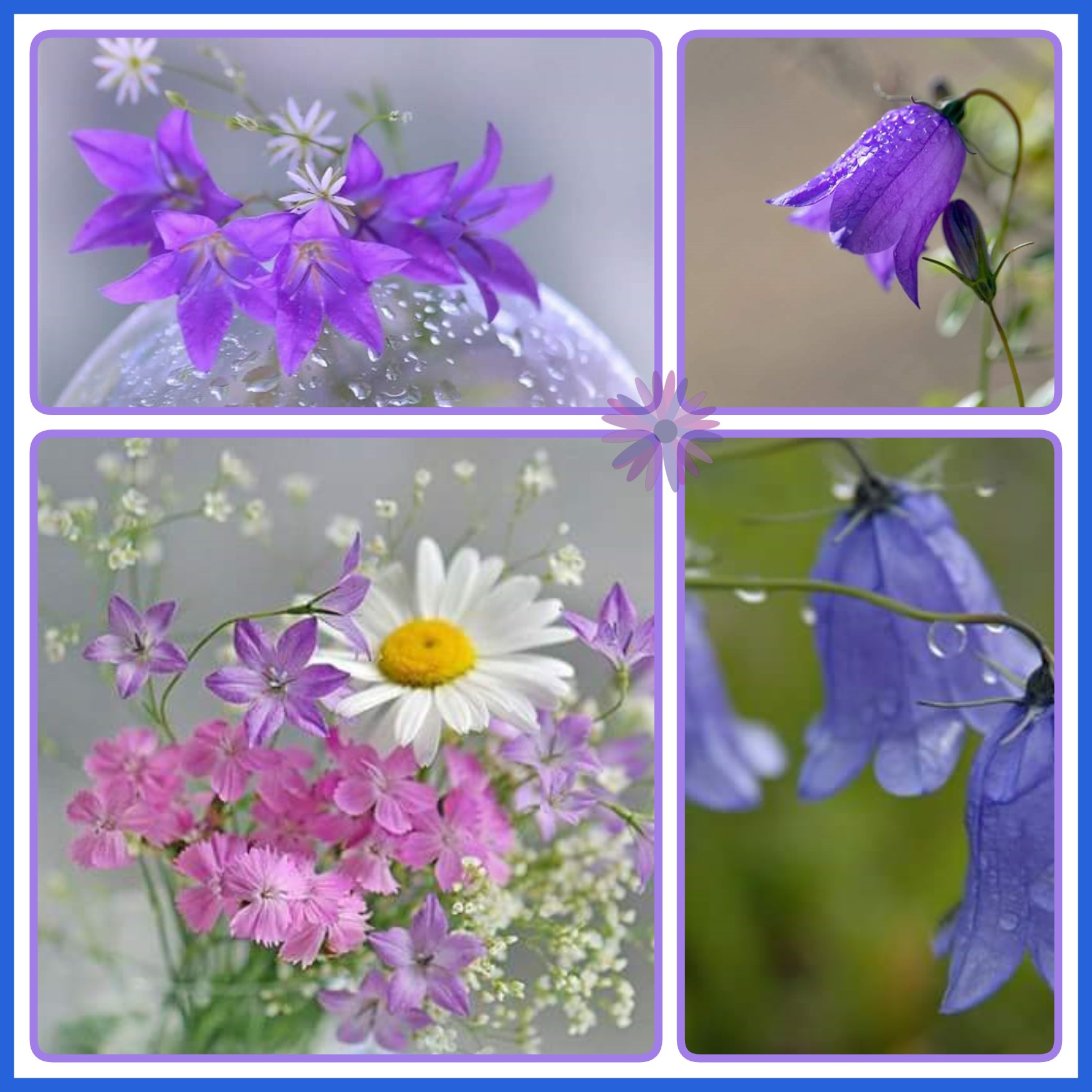 ����� � ����� ����� �������...