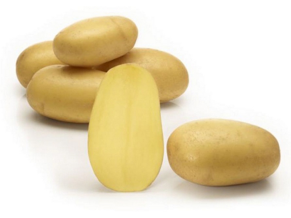 ���� �������. �������� ���������. ����� 4.