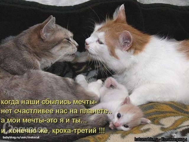 ����� - ����� ���� �����