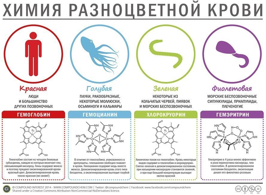 ������������ �����