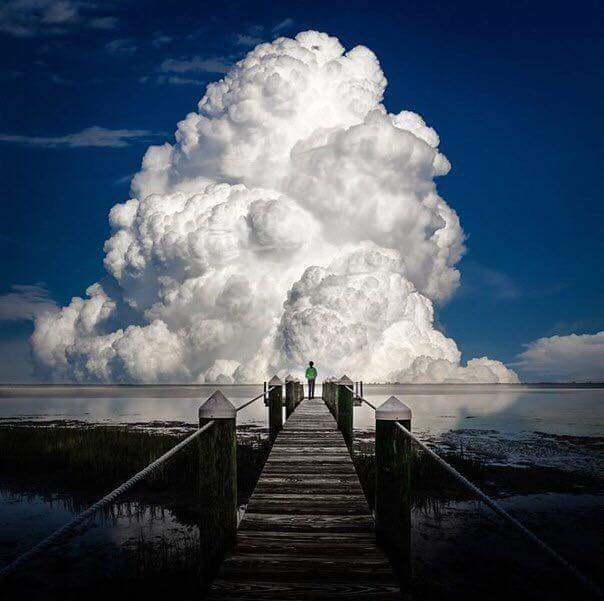 � �� ����� ������ ����� ������� ����� ������ - ��������...