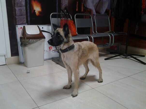 ������� ������