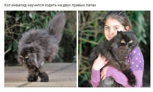 ���������� - ����!