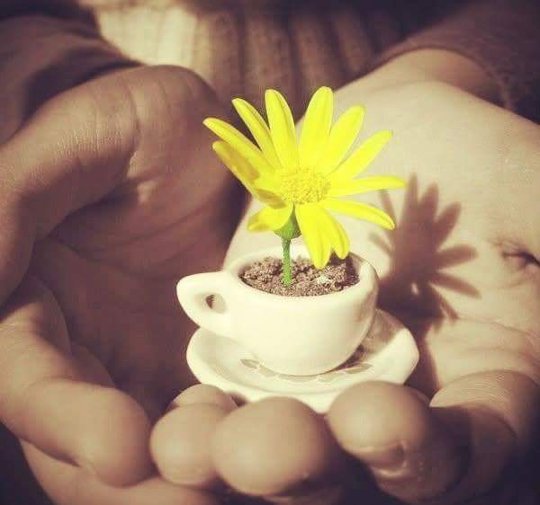 �������  ��������� - ���� ��������...