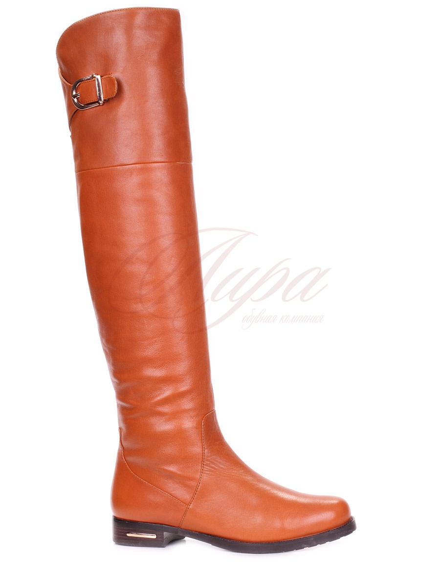 ����� Belltori - 20.