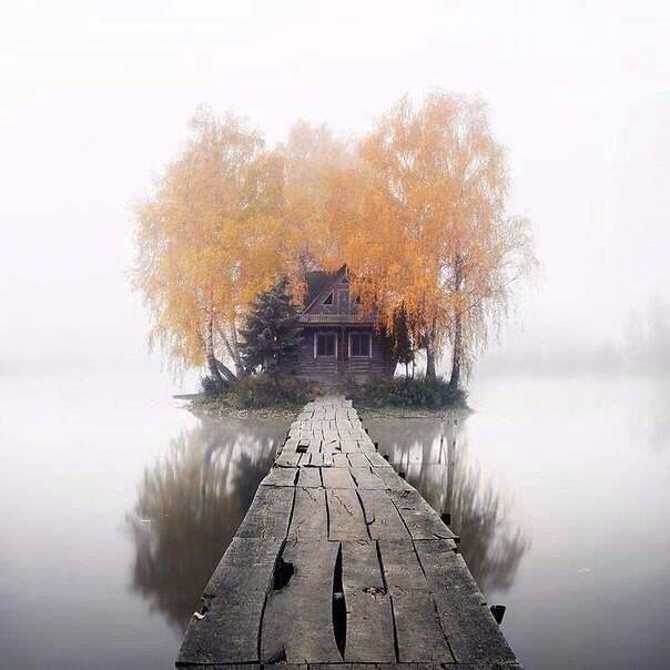 ������ � ��������! ������ �����!