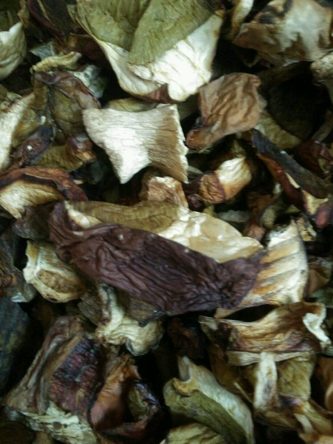 ������� ����� �����, ������� � ������������ ������