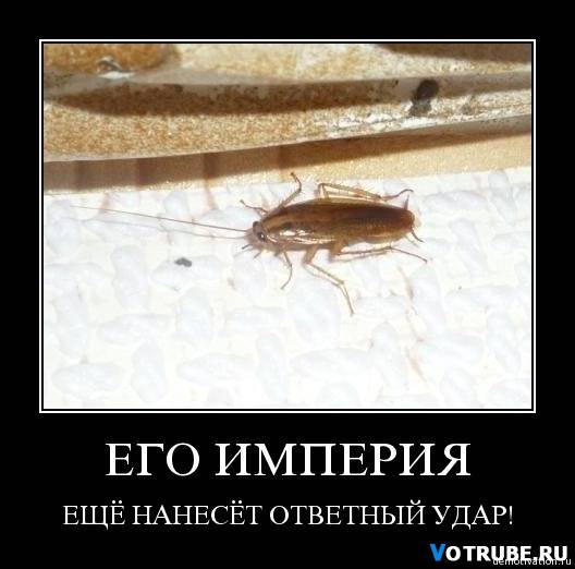 � ��������� �����, ����������� � �������....