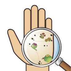 ����������