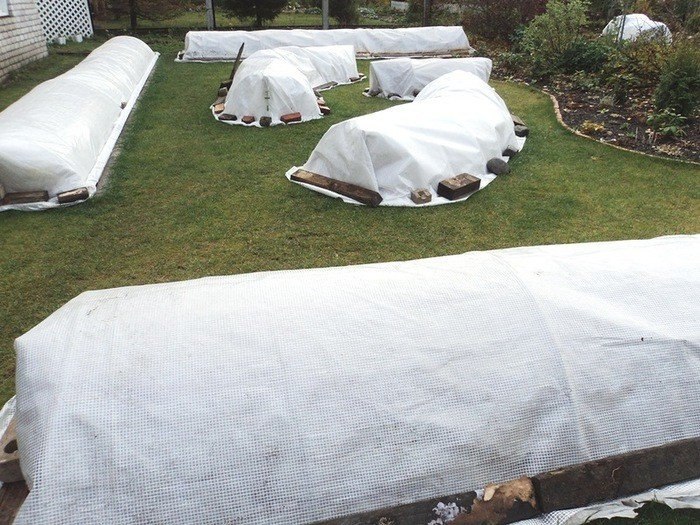 ����. ������� �� ����. ��������-����� ������� 