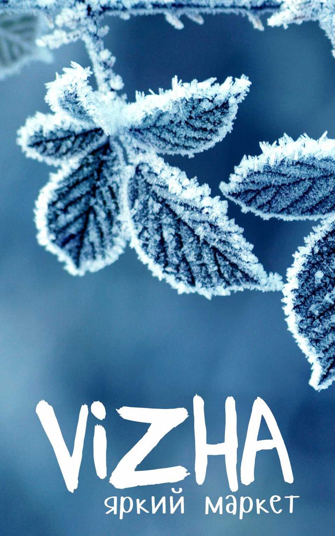 ���� �������. ������� ������. ����� ������ ������� Vizha. ����� 1.