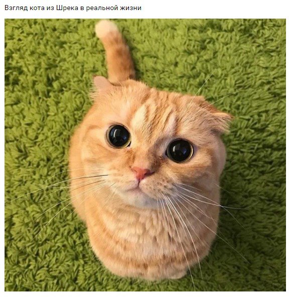 ������� ����